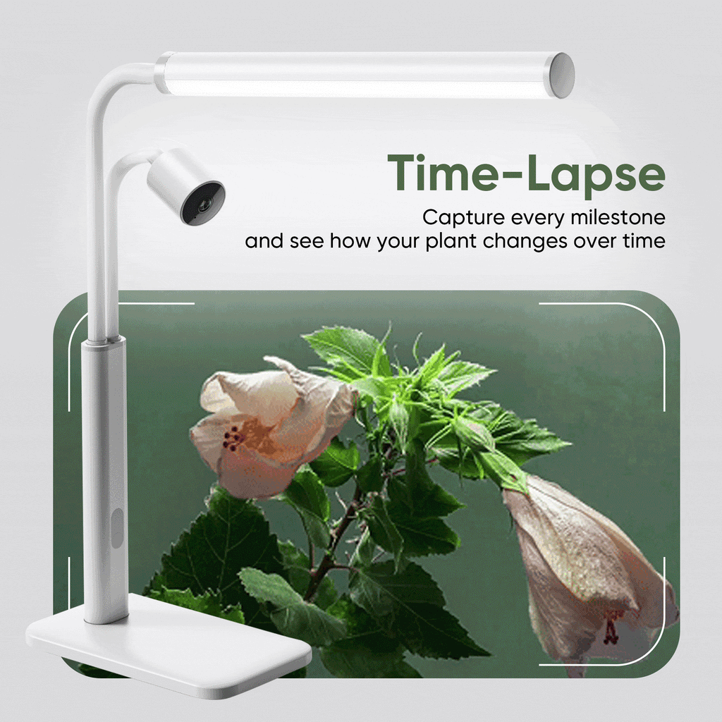 Bloom AI Labs Smart Plant Light