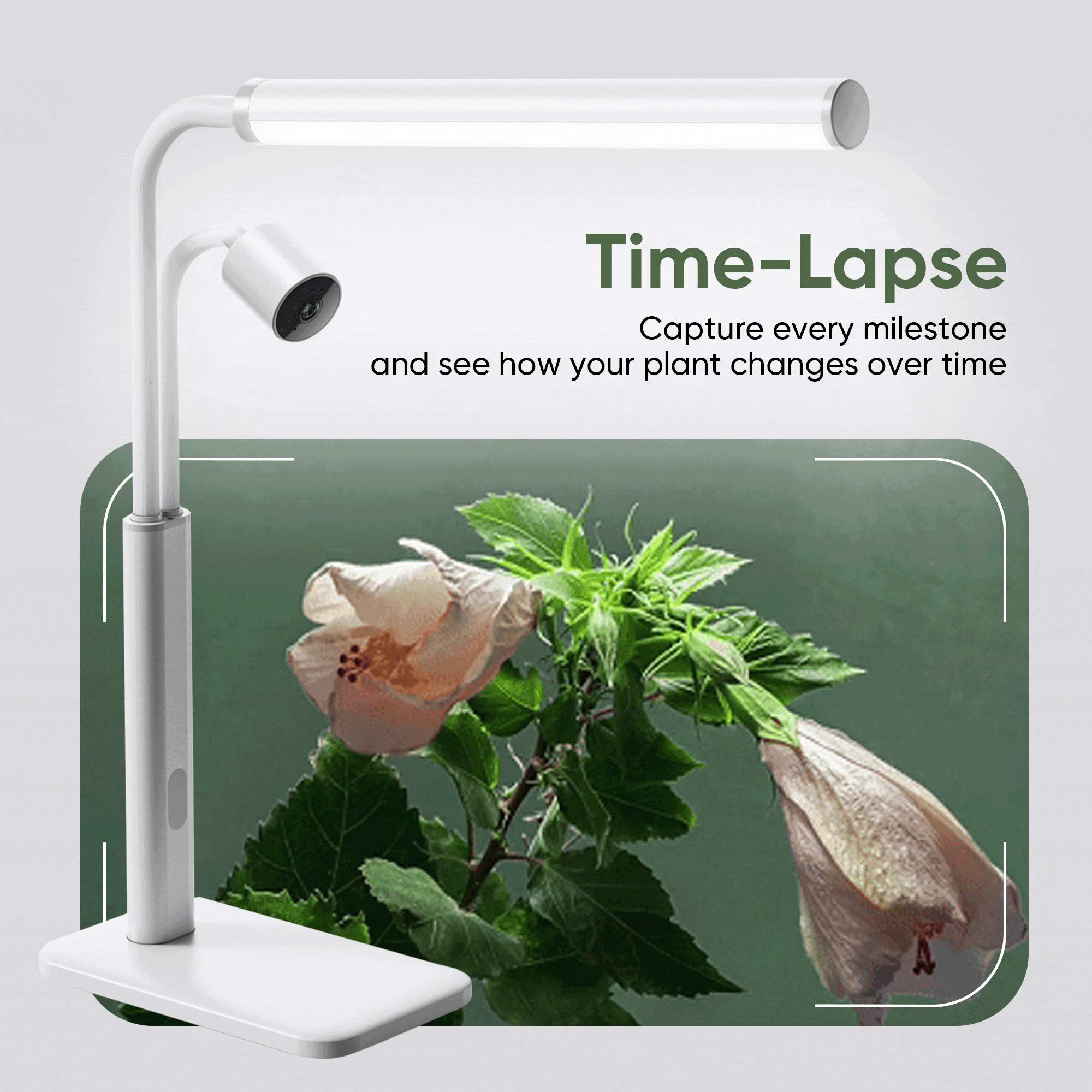 Bloom AI Labs Smart Plant Light